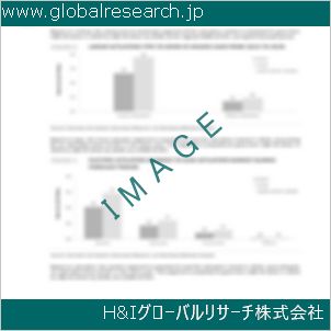 グローバルリサーチ調査資料のイメージ